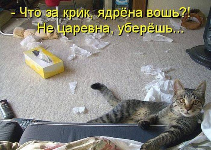 Инна Александрова | Томск