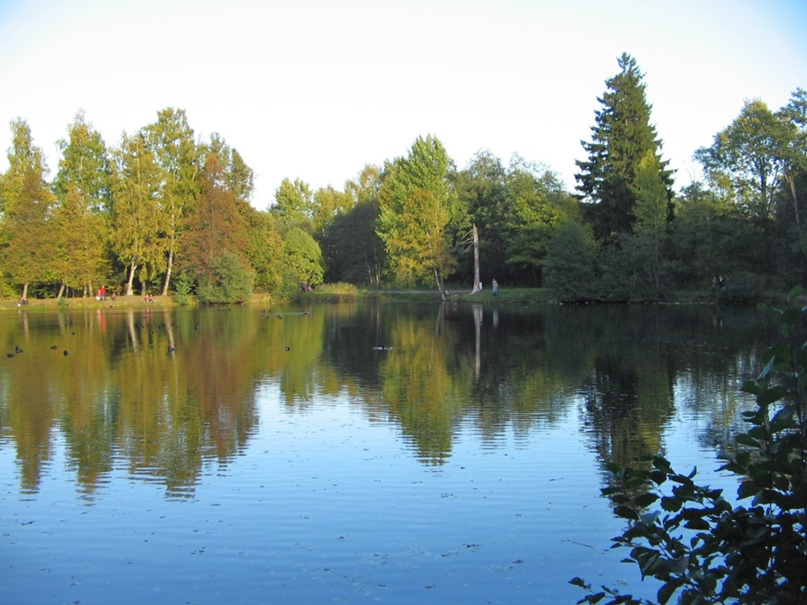 Николай Захаров | Петроград
