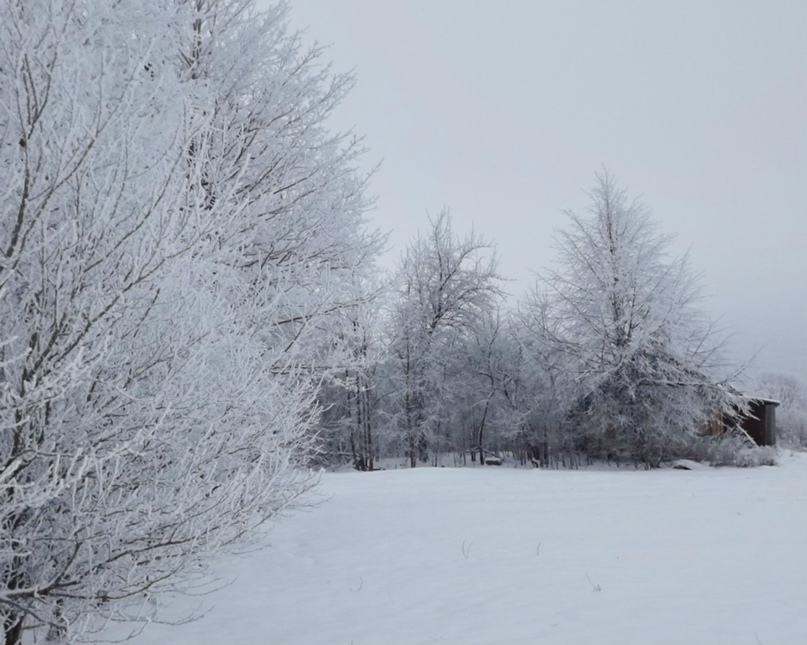 Андрей Бутько | Снигяны