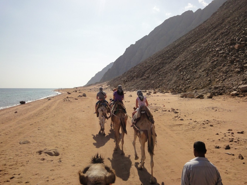 Елена Грошева | Тула