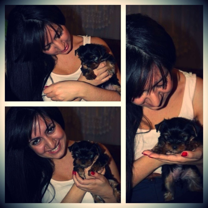 Алина Айрапетян | Москва