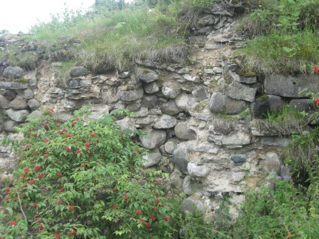 Дмитрий Балашов | Санкт-Петербург