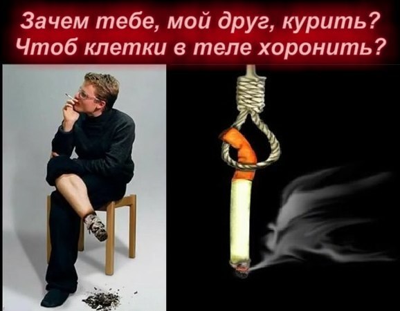 Андрей Войтенко | Миргород