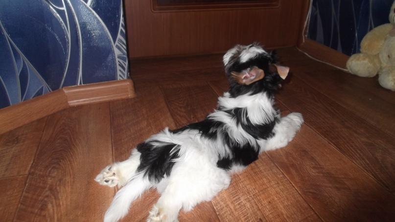 Алёна Казьмина | Нововоронеж