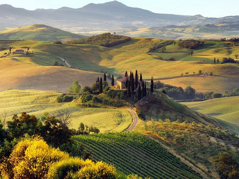 Ирина Полянская | Вологда