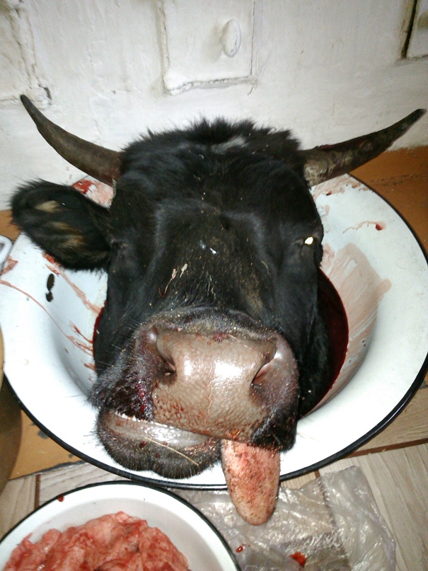 Илья Пушкин | Северодвинск