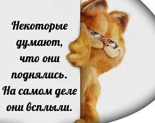 Инна Селезнёва | Светлый