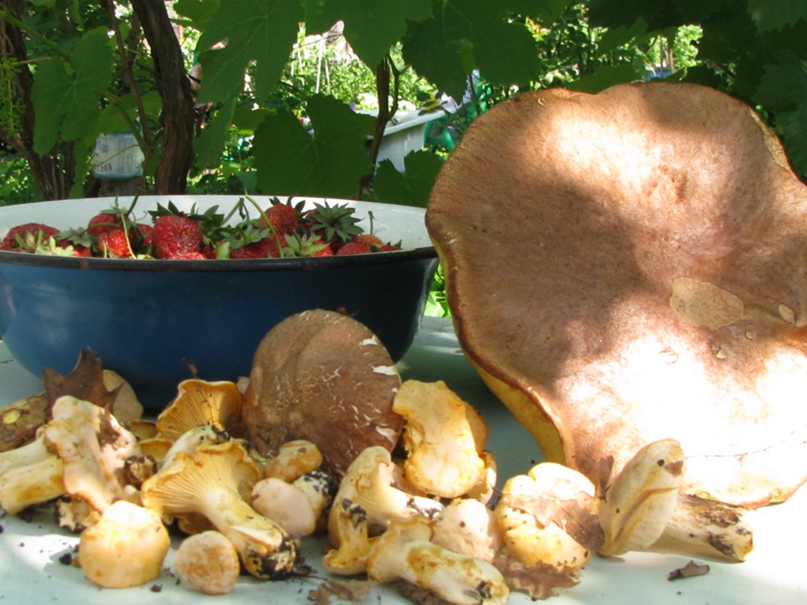 Татьяна Селютина | Воронеж