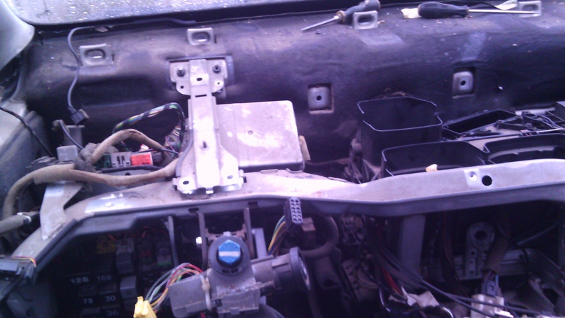 Роман Паньков | Витебск