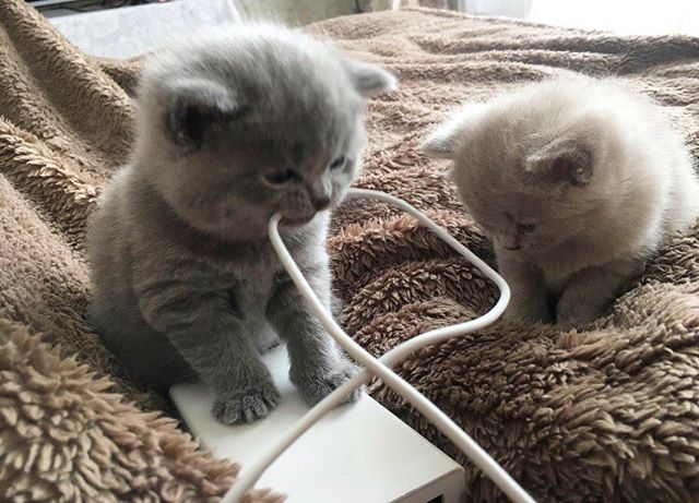 Евгения Дёмина | Санкт-Петербург