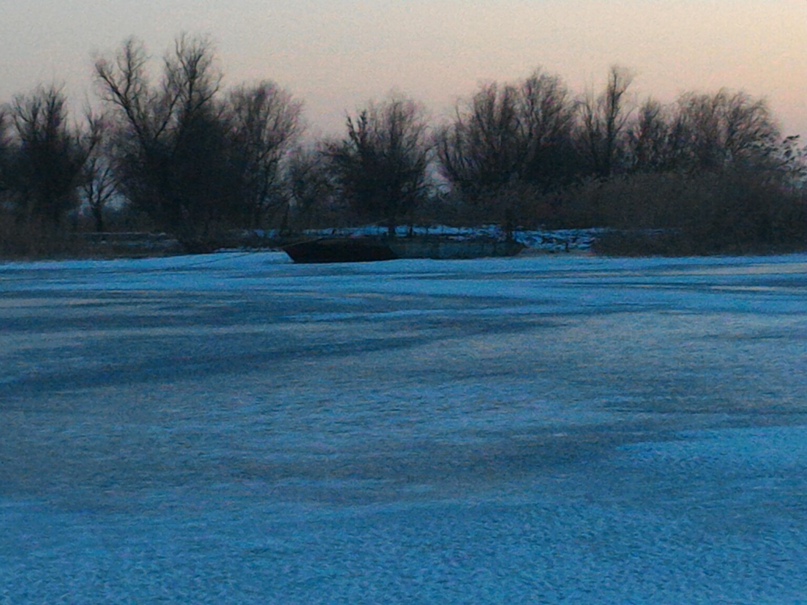 Татьяна Трубникова | Воронеж