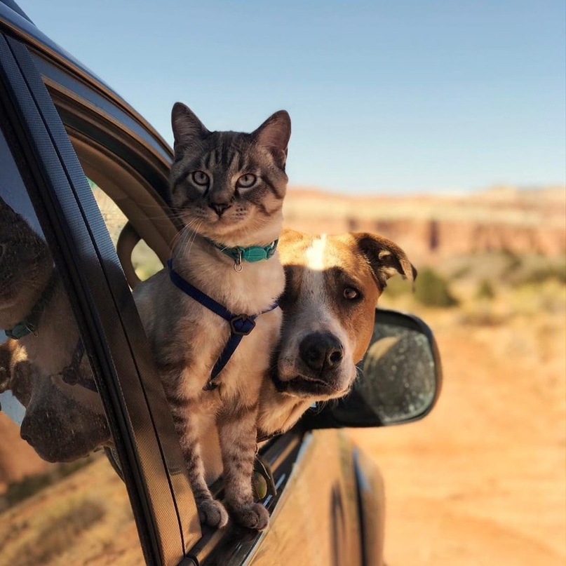 Юлия Соколова | Череповец