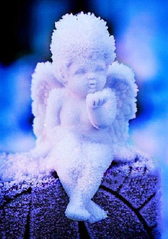 Елена Глушак | Киев