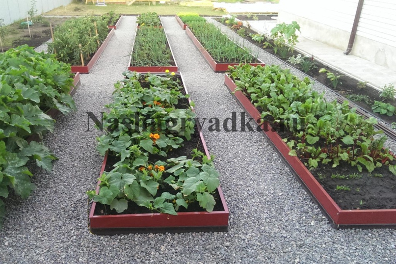 Ольга Сбоева | Советск