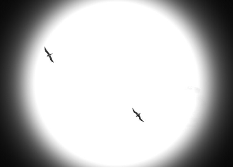 Владимир Немцев | Санкт-Петербург