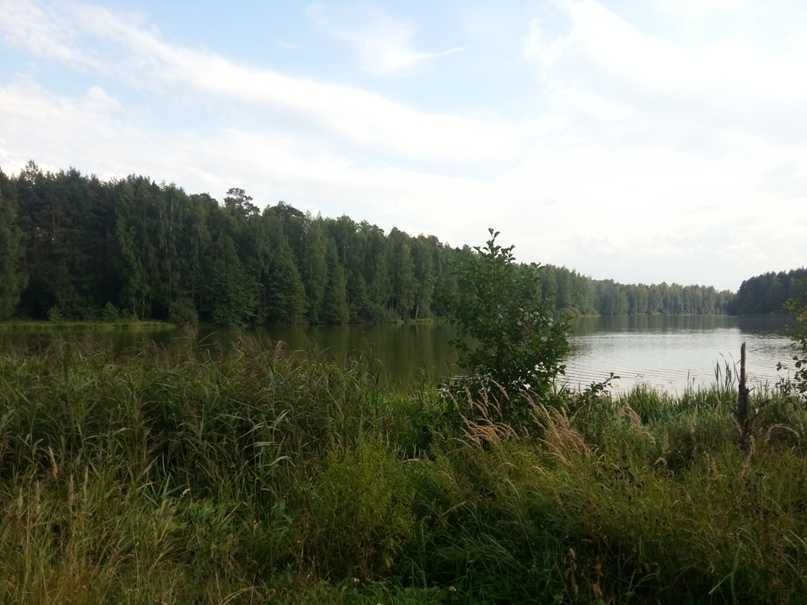 Анна Кривская | Санкт-Петербург