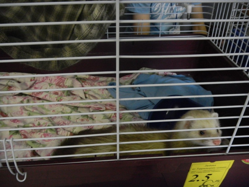 Юлия Бажина | Новосибирск