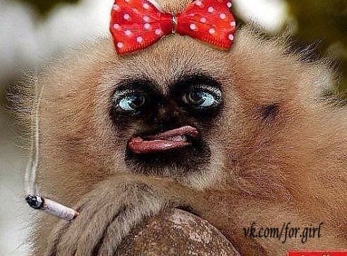 Григорий Верещагин | Пинега