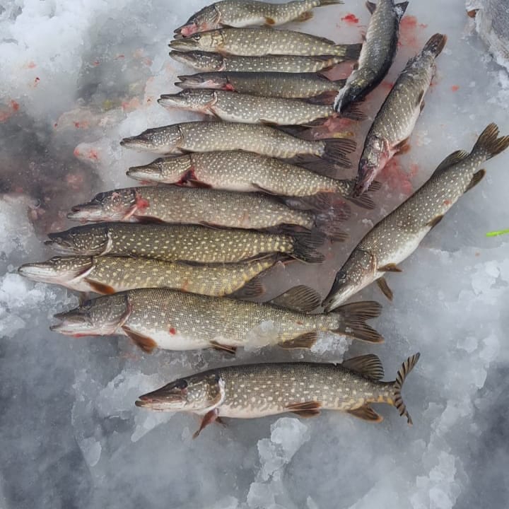 Вячеслав Раевский | Москва