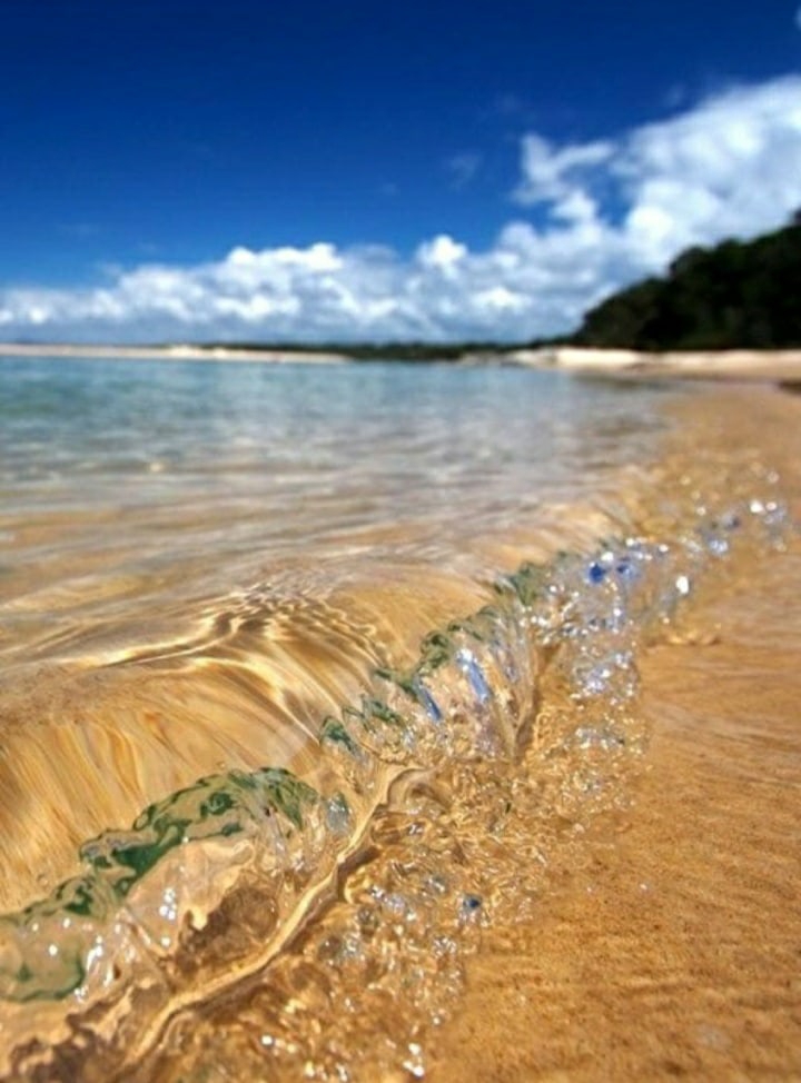 Елена Германовна | Сыктывкар