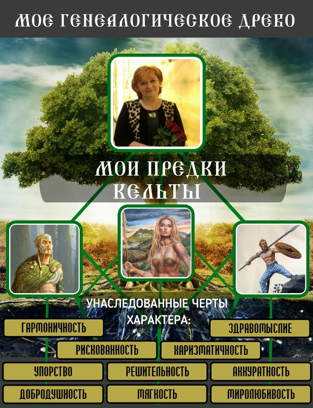 Дарья Спирина | Череповец