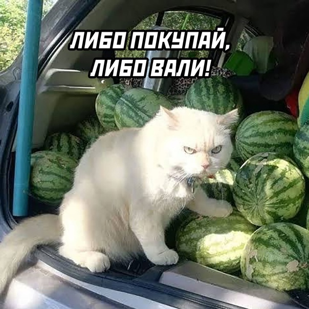 продолжение