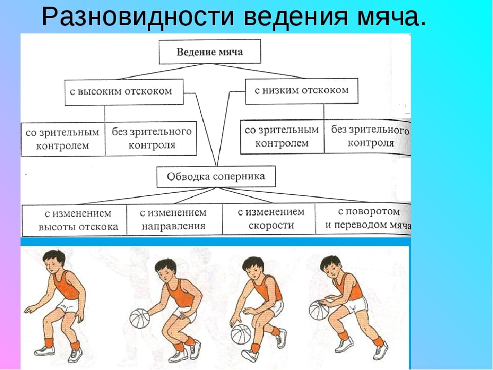 Схема баскетбольного мяча