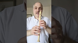 можно ли учиться на блокфлейте левше рекомендации от Александра Винокурова