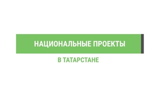 Больше половины всех обращений в Минэкологии РТ приходит с сервиса Школьный экопатруль