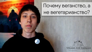 Почему веганство, а не вегетарианство