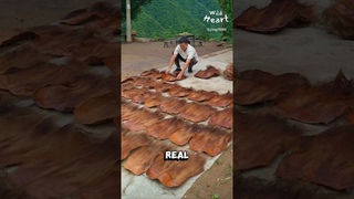 How To Make Palm Leaf Raincoat